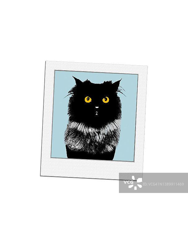 速印转移猫图片素材