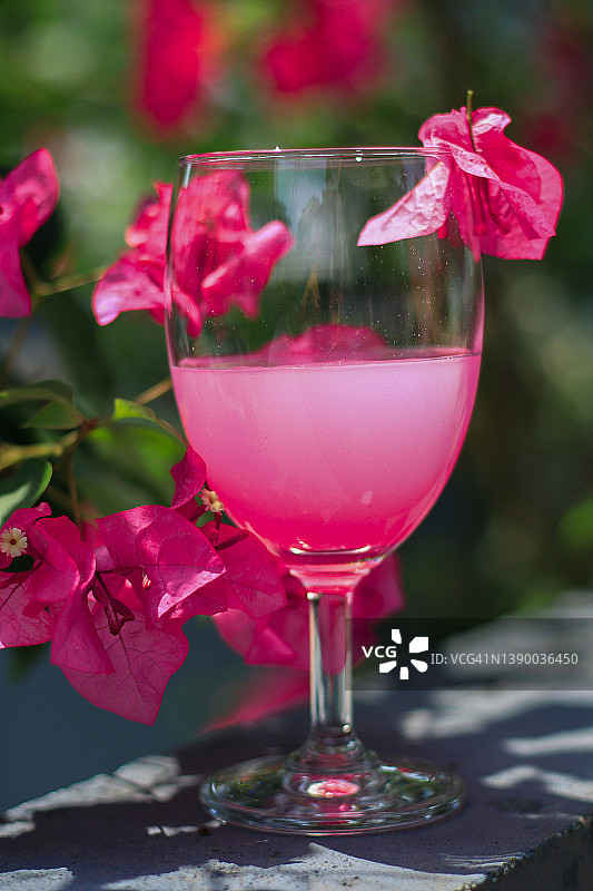 热带三角梅饮品图片素材