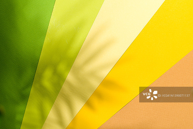 具有柔焦椰子棕榈叶轮廓的彩色背景自然光图片素材