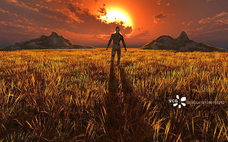 漫步麦田图片素材