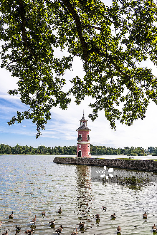 德国萨克森莫里茨堡湖畔鸭群与灯塔图片素材