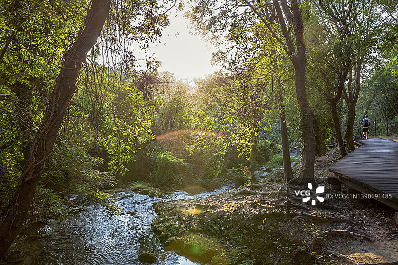 游客走在克罗地亚希贝尼克-克宁Krka国家公园森林的步行桥上图片素材