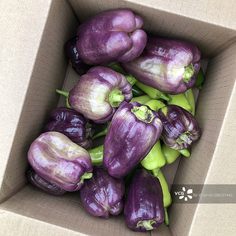 岛民辣椒图片素材