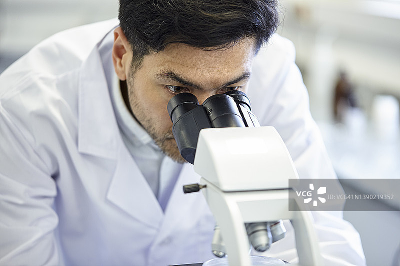 观察显微镜的中年亚裔美国科学家特写图片素材