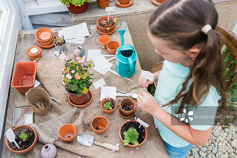 女孩在温室花盆里种花的俯视图。孩子们在户外学习园艺。与孩子们一起种植和照料植物的活动概念图片素材