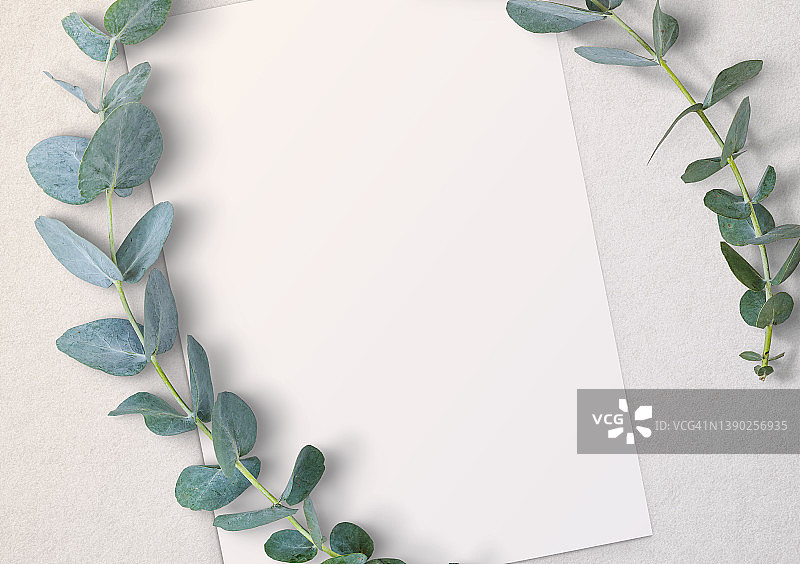 空白纸张与桉树枝图片素材
