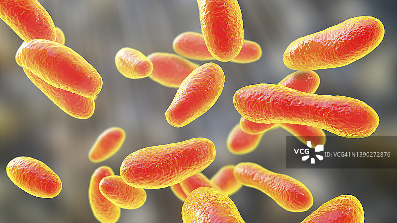Q热病细菌插图图片素材