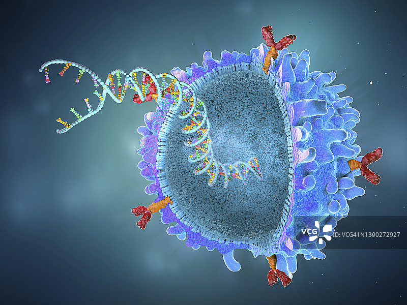 带有植入基因株的CAR T细胞，图示图片素材