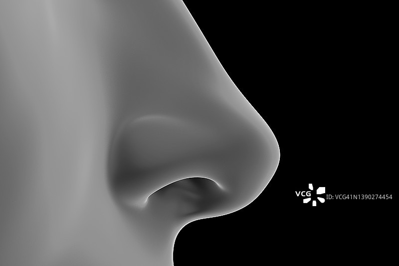 女性鼻子插画图片素材