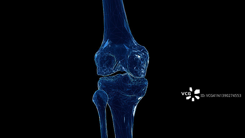 膝盖骨骼结构图图片素材