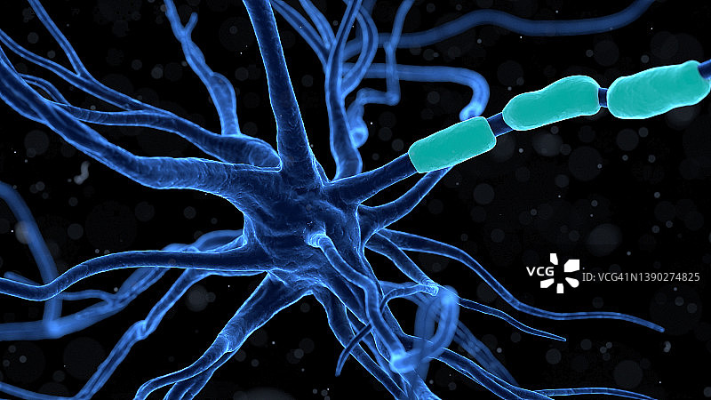 人类神经细胞，插图图片素材