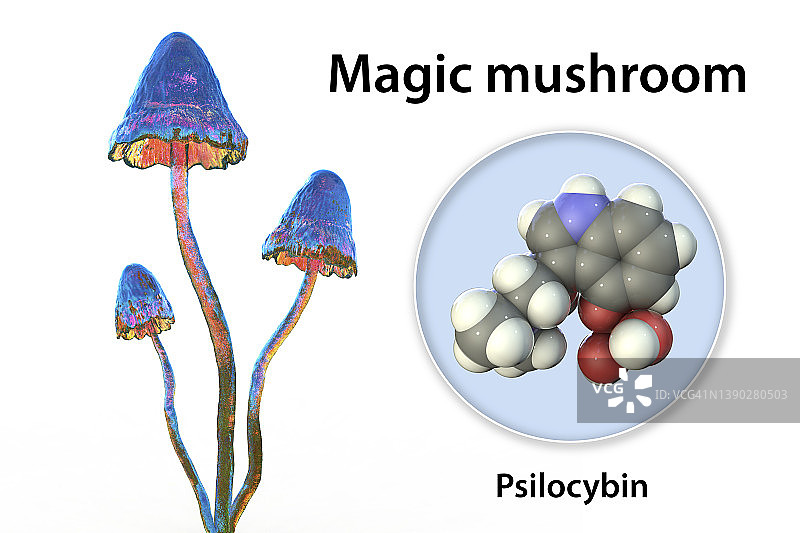 神奇蘑菇和裸盖菇素分子，插图图片素材