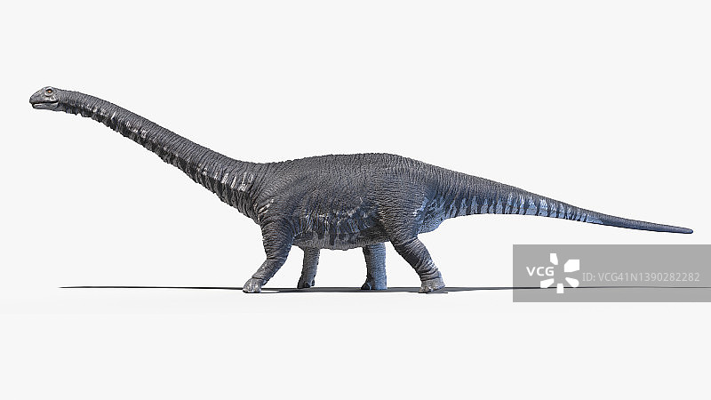 阿根廷龙插图图片素材