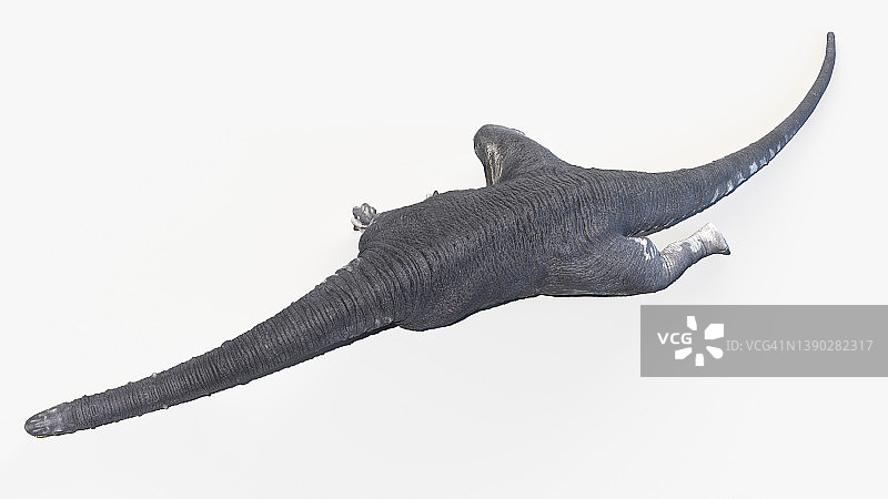 阿根廷龙插图图片素材