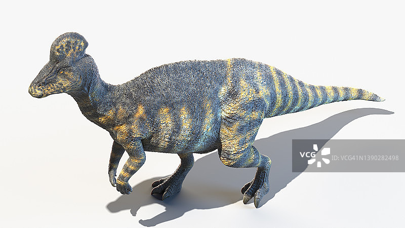 冠龙，插图图片素材