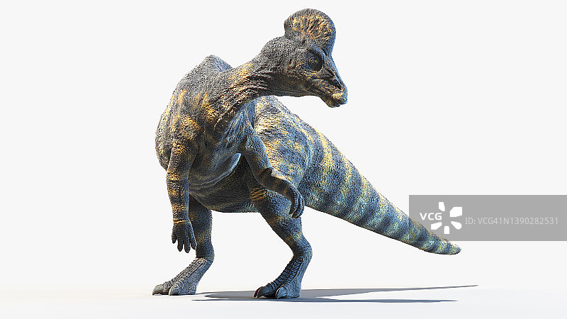 冠龙，插图图片素材