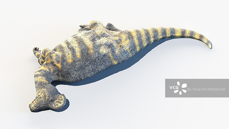 冠龙，插图图片素材