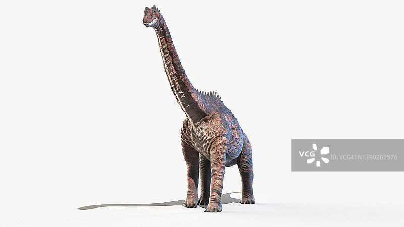 欧洲蜥脚类恐龙，插图图片素材