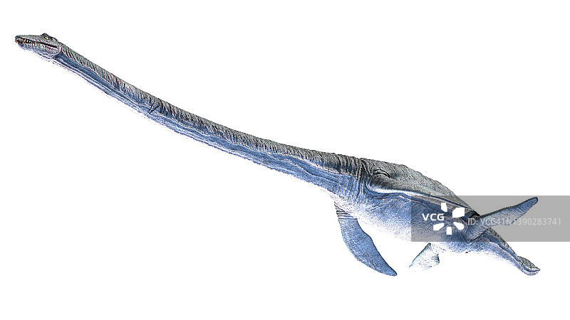 蛇颈龙插画图片素材