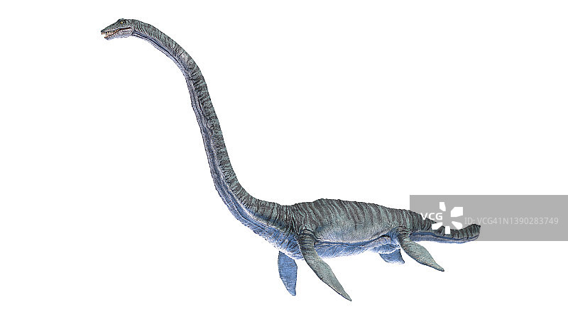 蛇颈龙插画图片素材