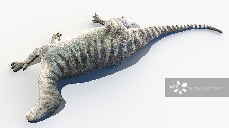 禽龙插画图片素材