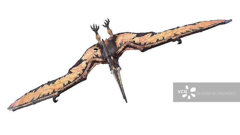 翼龙插画图片素材
