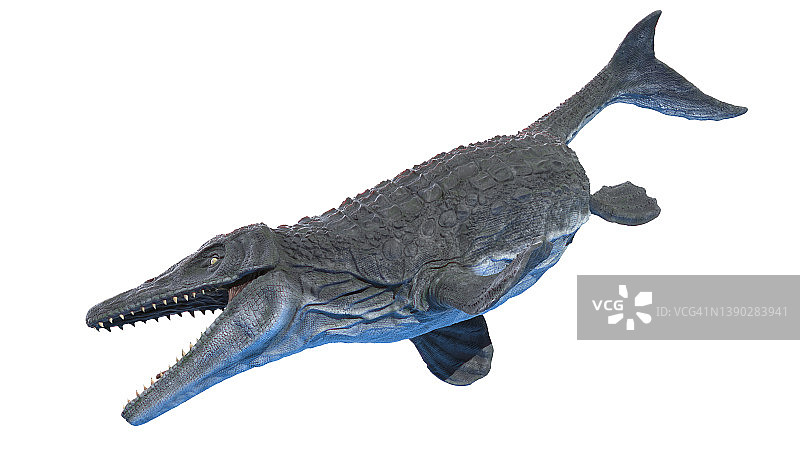 沧龙插画图片素材