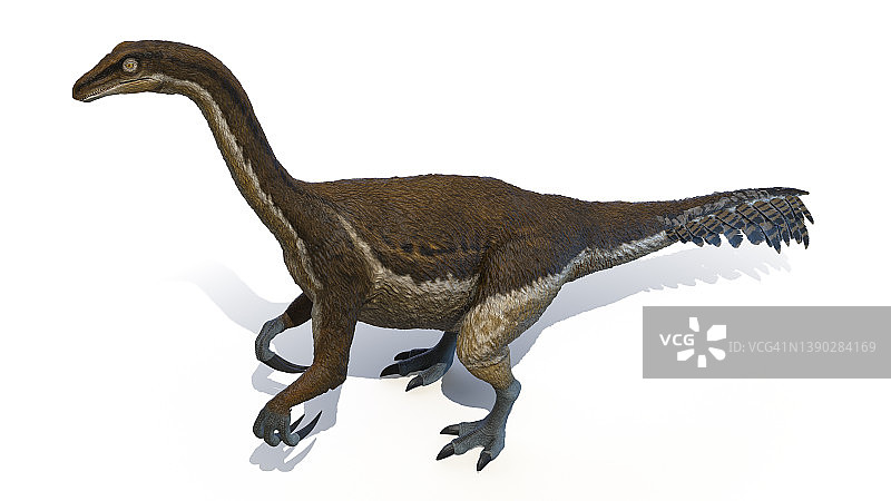 镰刀龙插画图片素材