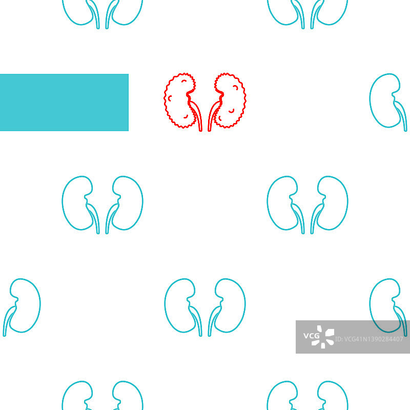 多囊肾病概念图图片素材