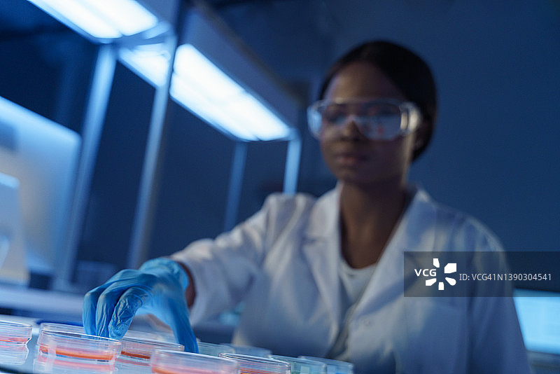 年轻的非裔美国女实验室助理使用培养皿进行分析图片素材