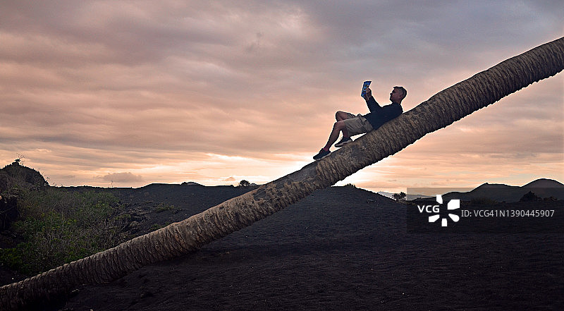 日落时分，在兰萨罗特岛马斯达切的倾斜棕榈树旁读书的男子图片素材