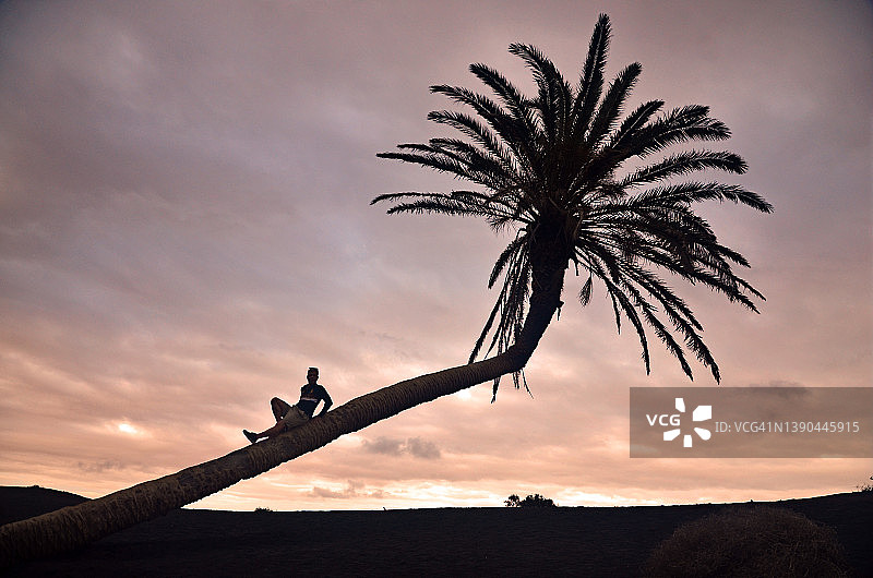 孤独的男人坐在马斯达切著名倾斜棕榈树的树干上，欣赏美丽的日落，兰萨罗特岛图片素材