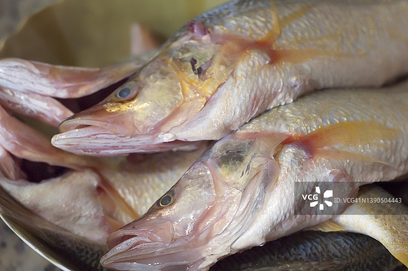 新鲜鲈鱼图片素材