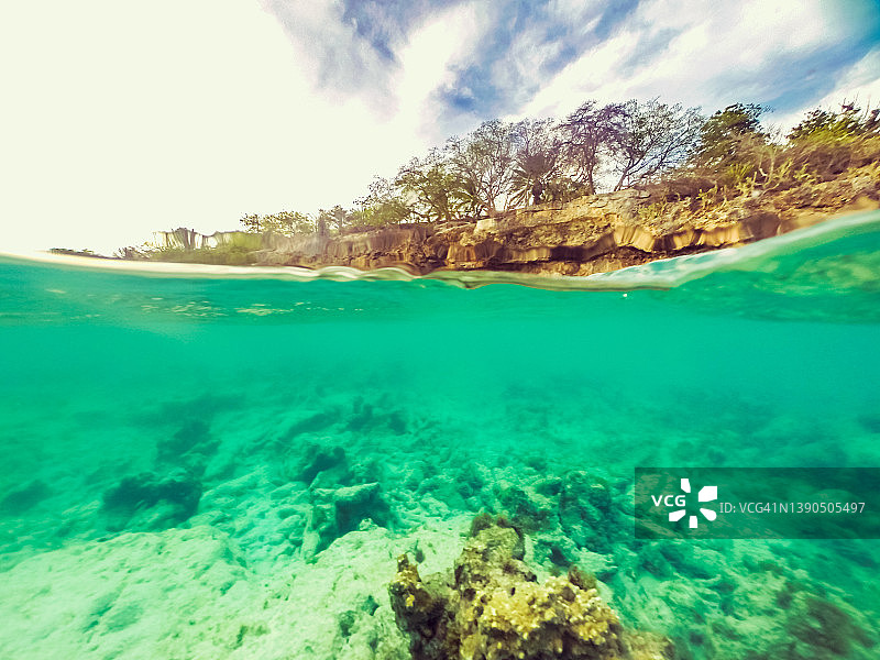 热带库拉索岛水下和水上景观：珊瑚礁与碧蓝海水图片素材