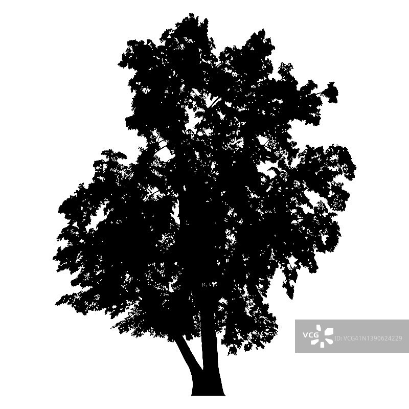 树木轮廓图片素材