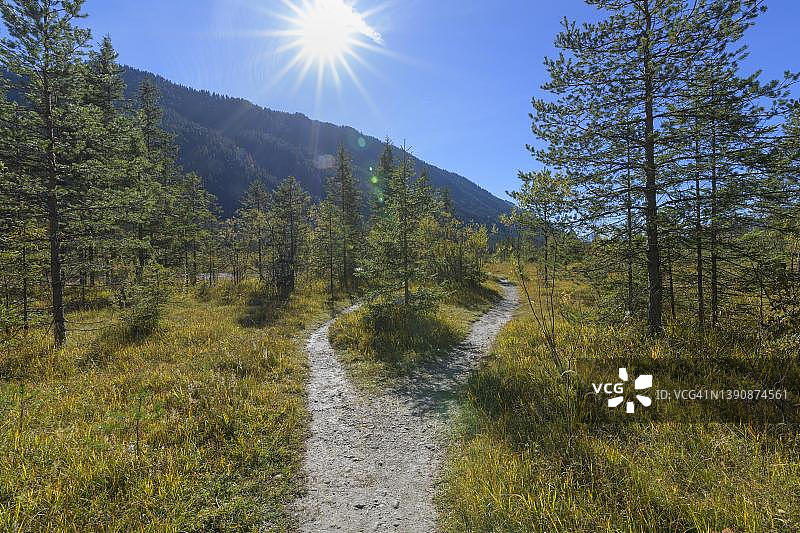 阳光下的分叉徒步小径,福德里斯,瓦尔高,伊萨尔温克尔,上巴伐利亚,巴伐利亚,德国阿尔卑斯山图片素材