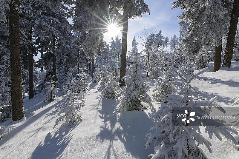 德国萨克森州菲希特尔贝格山的冬日雪景森林图片素材