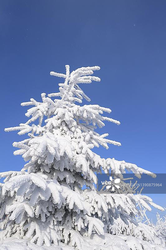 德国萨克森州菲希特尔贝格山冬季雪景图片素材