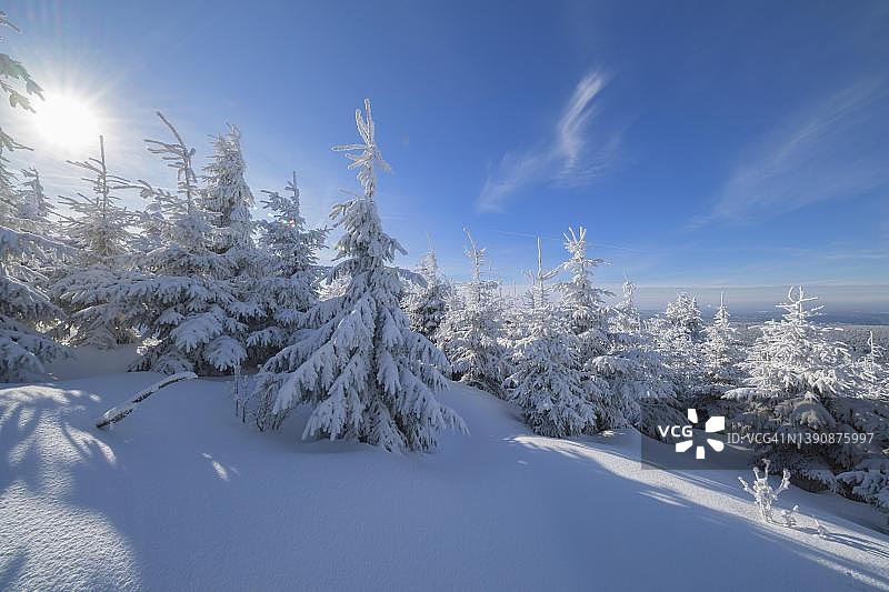 阳光下的冬季雪景：菲希特尔贝格山，德国萨克森州图片素材