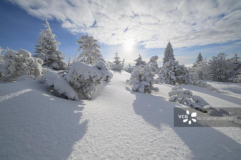 阳光下的冬季雪景：菲希特尔贝格山，德国萨克森州图片素材