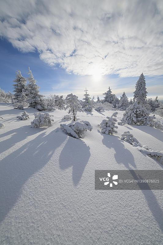 阳光下的冬季雪景：菲希特尔贝格山，德国萨克森州图片素材