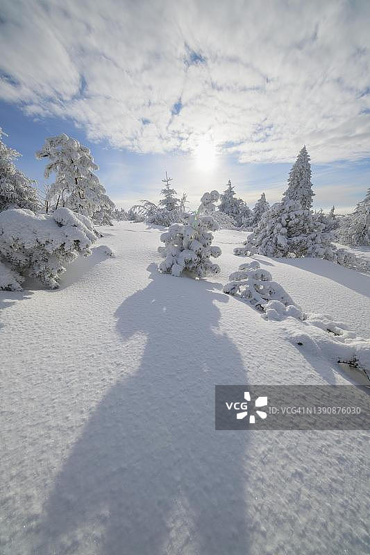 阳光下的冬季雪景：菲希特尔贝格山，德国萨克森州图片素材