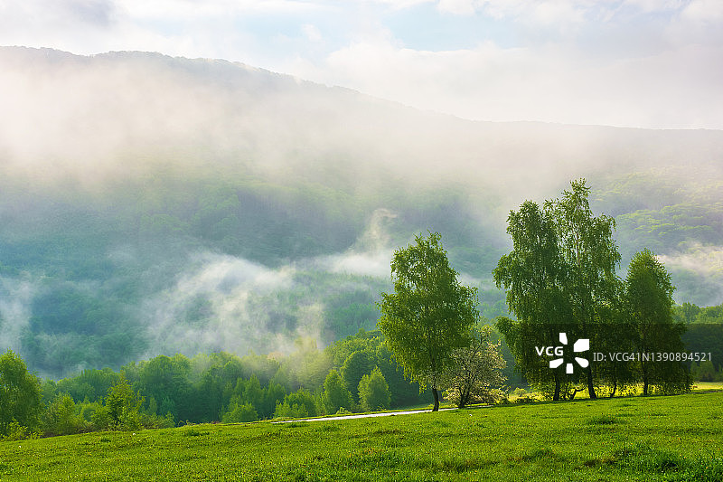 雾蒙蒙的日出时分的山区乡村图片素材