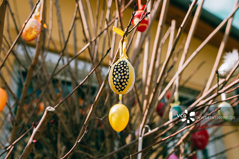 树上的复活节彩蛋图片素材