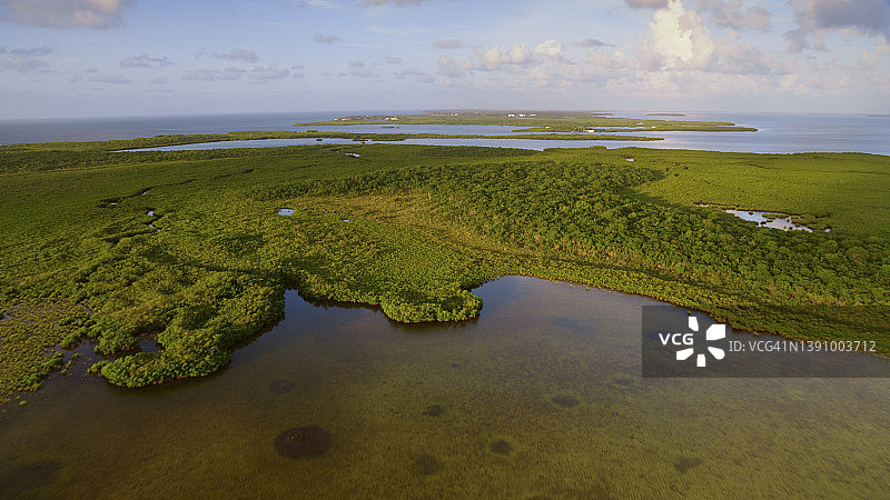 天鹅岛图片素材