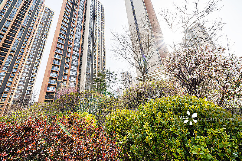 居住区的春天图片素材