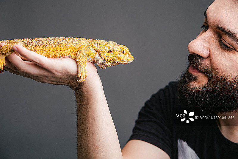 人手上的一只鬃狮蜥图片素材