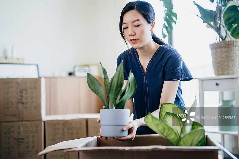 年轻的亚洲女性搬进新公寓。在客厅里将盆栽植物和物品打包/拆包到纸板箱中。搬家、迁移、搬迁概念图片素材