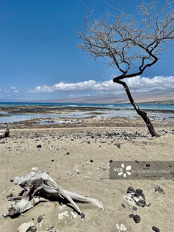 夏威夷风光集锦图片素材