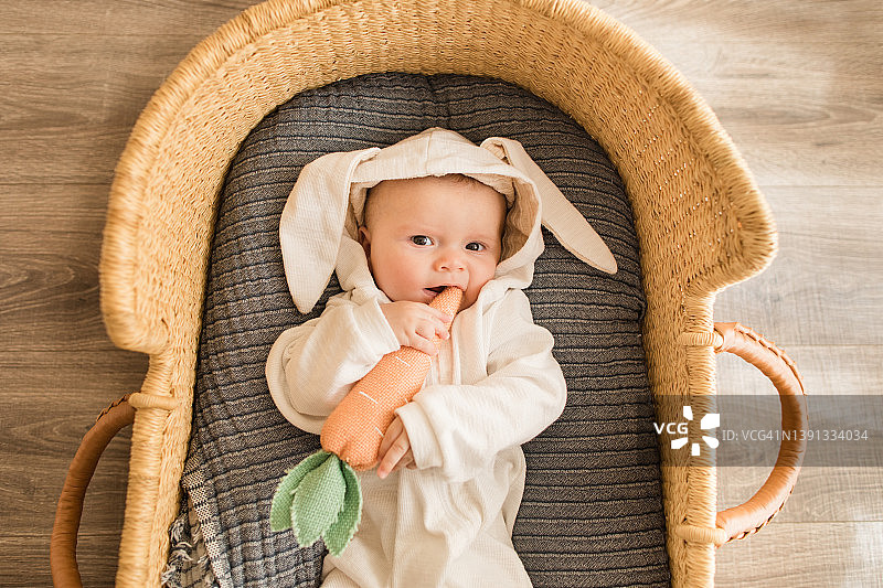 一名16周大的可爱男婴穿着白色兔子服装，在舒适的剑麻摩西篮里啃着胡萝卜图片素材